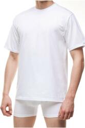 Cornette Tricou barbati - Cornette Authentic M202 Plus (Culoare: Alb, Marime: 2XL) (NX-5217)