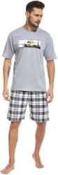 Cornette Pijama barbati, 100% bumbac, Cornette M326-049 (Culoare: Gri, Marime: XL) (21723)