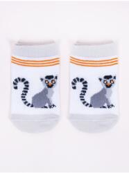 YO Club Sosete bumbac SKCBABY BOY (Culoare: Multicolor, Marime: 3-6 luni) (23186)