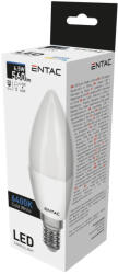 Entac LED Candle E14 6, 5W CW 6400K