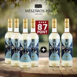 MÉSZÁROS PÁL 4+2 db - Triangulum Sárgamuskotály Gyöngyözőbor 2024 - Mészáros - 87 pont **** (6 X 0, 75l)