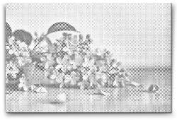  PontPöttyöző - Orgona Méret: 40x60cm, Keretezés: Műanyagtáblával, Szín: Kék