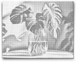 PontPöttyöző - Monstera a vázában Méret: 30x40cm, Keretezés: Keret nélkül (csak a vászon), Szín: Piros