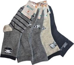Pesail Kisfiú zokni, zebra mintás, 5 pár/csomag