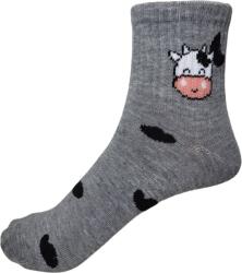 Pihe-Puha Pihe puha, Női, köztes szárú boka, bocis, 5 pár/csomag
