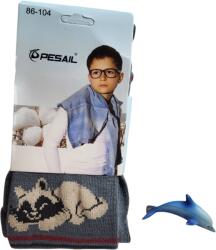 Pesail Pesail, Kisfiú, harisnya