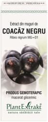 PlantExtrakt Coacaz Negru Extract 50 ml