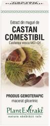 PlantExtrakt Castan comestibil Extract din muguri 50 ml