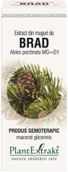 PlantExtrakt Extract din muguri de Brad 50 ml