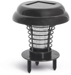 Garden of Eden 55667