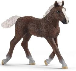 Schleich Schleich: Schwarzwaldi csikó figura (13899) (SLH13899)
