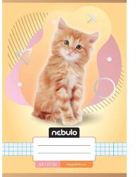 Nebulo Nebulo: Cicás mintás kockás füzet A/5 27-32 (NR-AM-A5-12347049) - innotechshop - 279 Ft