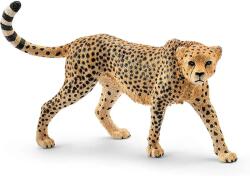 Schleich Schleich: Nőstény gepárd figura (14746) (SLH14746) - innotechshop
