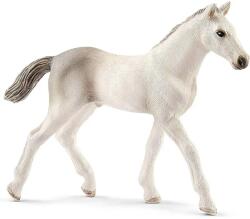 Schleich Schleich: Holstein csikó figura (13860) (SLH13860) - innotechshop