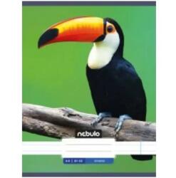 Nebulo Nebulo: Tukán sima füzet A4 80-32 (SI-AM-A4-12348275) - innotechshop