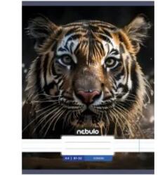Nebulo Nebulo: Tigris sima füzet A4 80-32 (SI-AM-A4-12348282) - innotechshop