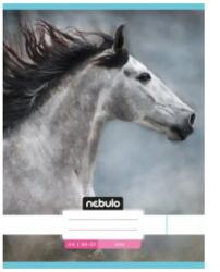 Nebulo Nebulo: Szürke ló sima füzet A4 80-32 (SI-LD-A4-12347612)