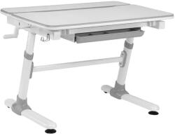 Ergo Office Ergonomikus, magasságállítható gyerek íróasztal dönthető lappal, szürke, 100 kg (70223)