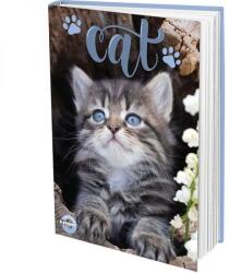 T-Creativ Cicás keményfedeles notesz/napló - sima - A4 (TC25-A17111080-946619-1CICA)