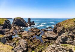 Bluebird Puzzle - Puzzle Pointe des Poulains, Bretagne, Franța - 1 000 piese Puzzle