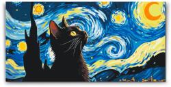 Festés számok szerint - Vincent Van Gogh - Csillagos éj és a macska Méret: 40x80cm, Keretezés: Műanyagtáblával