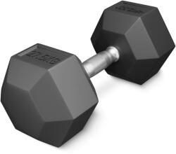 4FIZJO Ganteră din oțel HEX de 27, 5 kg (1 Bucată)