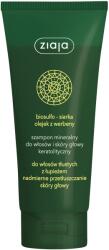 Ziaja Mineral sampon anti-matreata 200 ml