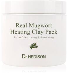 Dr. HEDISON Real Mugwort tisztító arcmaszk agyaggal 265 ml