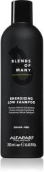 ALFAPARF Milano Blends Of Many Energizing șampon energizant pentru părul slăbit bărbați 250 ml
