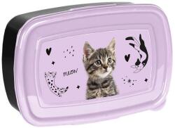 PASO Cicás műanyag uzsonnás doboz - fekete, lila (PP25CE-3022) (PP25CE-3022)