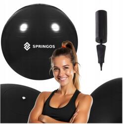 Springos Rehabilitációs Gimnasztikai Labda Edzéshez 55 cm Fitness Pumpa 150 kg (FB0013)