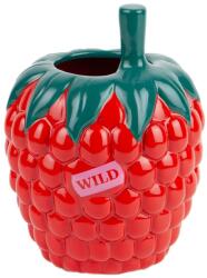 DOIY vază decorativă Farmers Raspberry 99KK-DRU0EH_33X (DYVASFMRA)