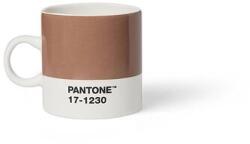 Pantone Cana espresso PANTONE - Mocha Mousse 17-1230 (culoarea anului 2025) (101042025)