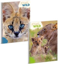Ars Una A4 spirálfüzet, sima Icons of the Wild (5492) 25 (53914927)