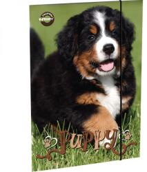 T-Creativ Kutyás gumis mappa - A5 - T-Creatív (TC25-D090040A5-908037-6KUTYA)