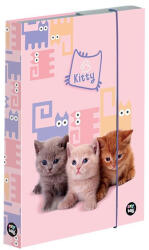 KARTON P+P Füzetbox OXY A/4 Pets (VL_4027045487)