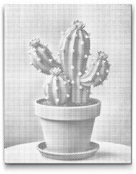 PontPöttyöző - Kaktusz cserépben Méret: 30x40cm, Keretezés: Keret nélkül (csak a vászon), Szín: Fekete