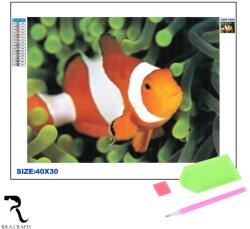 Rila Crafts Set de broderie cu diamante 5D Rila Crafts - Nemo, pește clovn, 30x40 cm
