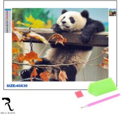 Rila Crafts Set de broderie cu diamante 5D Rila Crafts - Panda, 30x40 cm