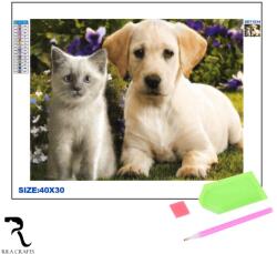 Rila Crafts Set de broderie cu diamante 5D Rila Crafts - Pisici de companie, 30x40 cm
