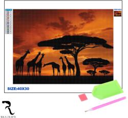 Rila Crafts Set de broderie cu diamante 5D Rila Crafts - Savana, 30x40 cm