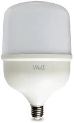 Well Bec LED T140 E27 50W 230V lumina rece 6500K 5500lm Well (LEDLC-T14050E27-E-WL)