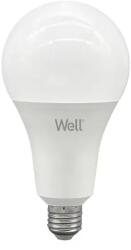 Well Bec LED A95 E27 24W 230V lumina rece 6500K 2650lm Well (LEDLC-A9524E27-E-WL)