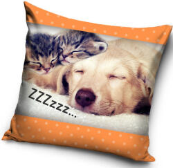  Cicás, Kutyás ZZZ párnahuzat 40x40 cm (CBX182004PNL) - decorit