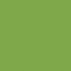 Lime zöld Maki szalvéta 20 db-os 33x33 cm (PKK005457)