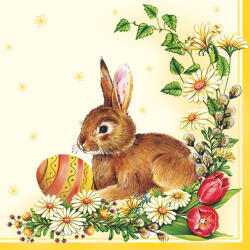 Húsvét Egg & Hare szalvéta 20 db-os 33x33 cm (PKK009677)