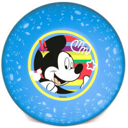 Disney Mickey egeres, műanyag mélytányér