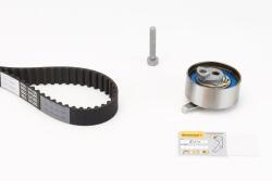 Continental Ctam Kit distributie CONTINENTAL CTAM CT1094K1