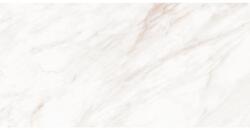 Mexen Forever Grey gres glazurat, rectificat G1, placă de podea-perete 120 x 60 cm, lucios - TL139-120-060-00 (TL139-120-060-00)