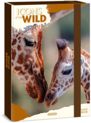 Ars Una Máté Bence Icons of the Wild-Giraffes A/4 füzetbox (50855056)